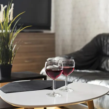Appartement Large Next To Main Station - 85 M2 Krakau